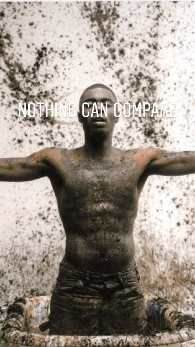 NOTHING CAN COMPARE